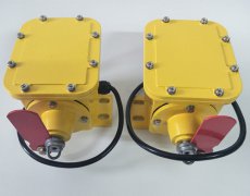 SCPT-120-30撕裂開關原理隔爆型 SCPT-120-30撕裂開關原理隔爆型